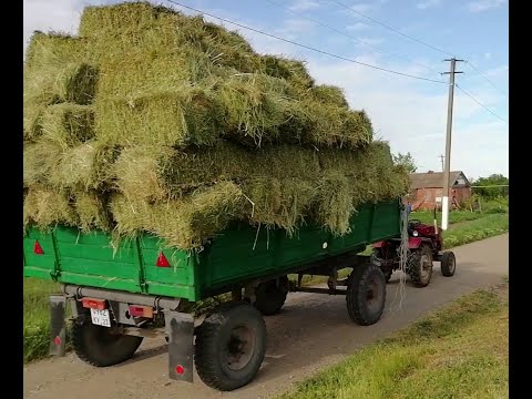 Видео: Прессую сено, вожу китайским минитрактором.