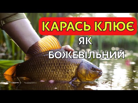 Видео: НЕ ЛОВИ КАРАСЯ, поки не подивишся це відео! ⚠️