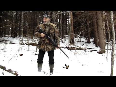 Видео: На сопках Вепсарии или как лучше стоять с ружьём.