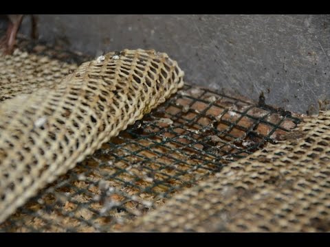 Видео: Хозяйство Дон-Зоо. Устройство брудера для молодняка