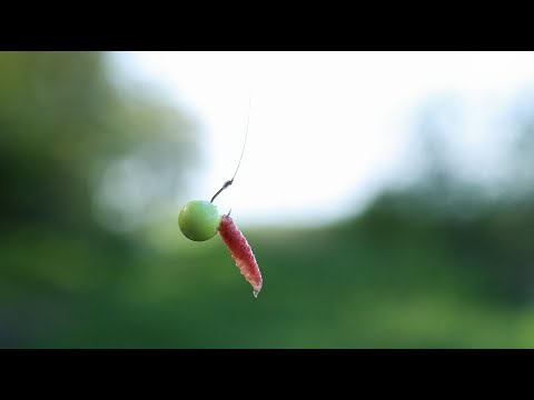 Видео: Насадка ГОЛОВАСТИК по карасю номер один