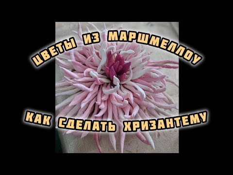 Видео: Цветы из маршмеллоу, как сделать хризантему