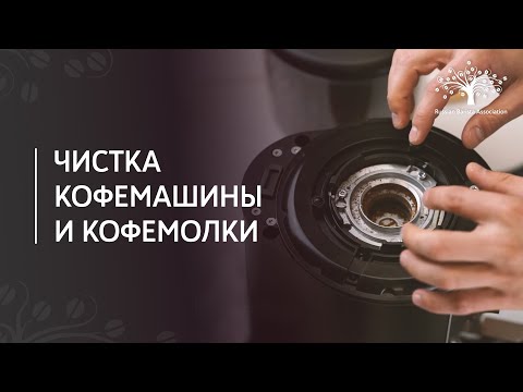 Видео: Как чистить кофемашину и кофемолку