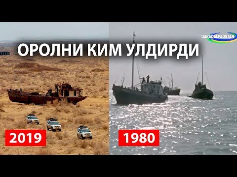 Видео: ОРОЛ ДЕНГИЗИНИ КИМ УЛДИРДИ-?