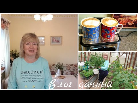 Видео: На даче.Без этого никак.Кофеварка Kitfort KT-765 и Тостер.Садовые отделы Глобуса и Леруа. Покупки.