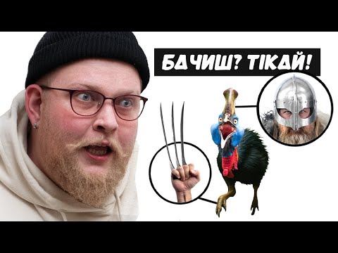 Видео: КАЗУАР: птах, якого краще не злити