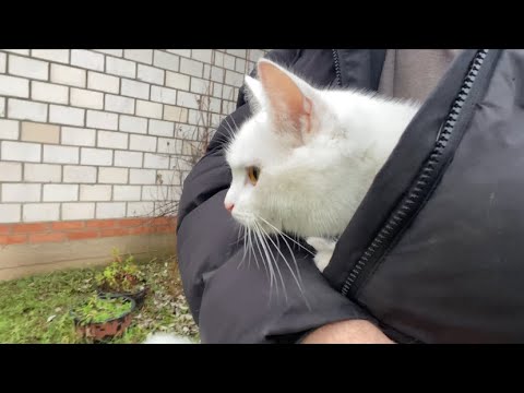 Видео: Погода не очень, только сидеть у печки 