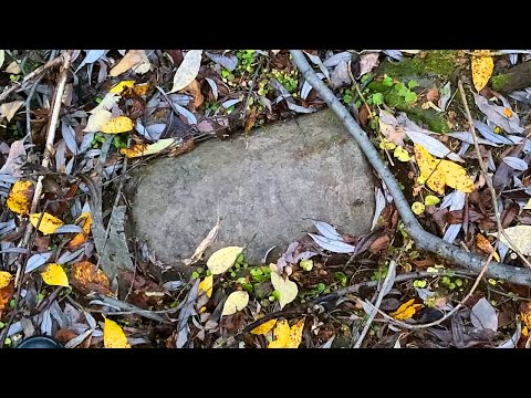 Видео: Предполагаю, что в этом овраге я найду ценного не на один десяток тысяч рублей. Часть 1.