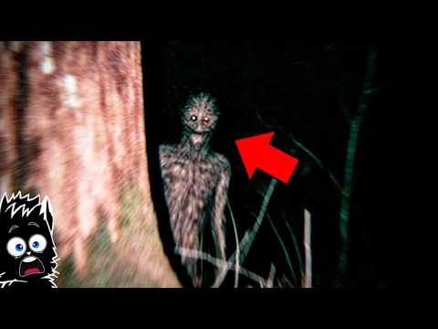 Видео: Зря ОН пошел НОЧЬЮ в лес! ЖУТКИЕ ВИДЕО СНЯТЫЕ на КАМЕРУ [Черный кот]