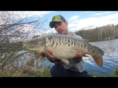 Видео: Ловля Коропа на Дикарі.36 годин на Риболовлі.