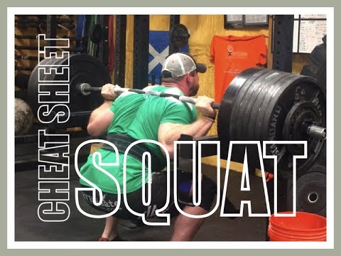 Видео: Шпаргалка по приседаниям!