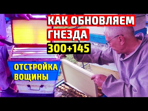 Видео: Обновление гнезда в дадане. Отстройка вощины. Пчеловодство 300+145.