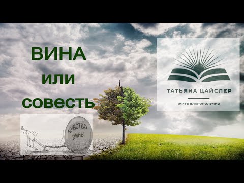 Видео: 18. Чувство ВИНЫ.