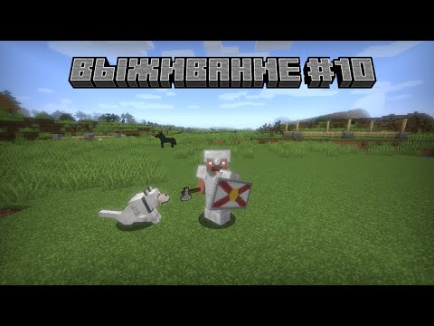 Видео: НОВЫЙ ДРУГ И ПОСТРОЙКИ | ВЫЖИВАНИЕ В MINECRAFT 1.12.2 | #10