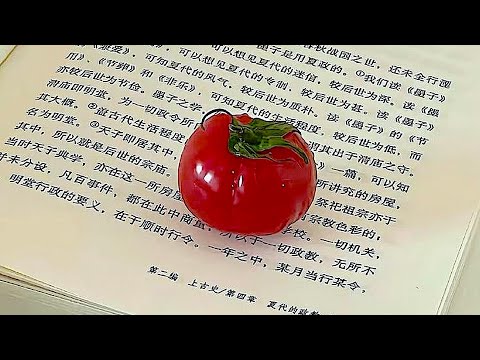 Видео: Я положил помидор на летнее предложение lofi chill джаз учеба работа без слов летняя инструменталка