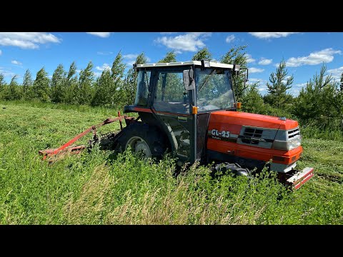 Видео: Kubota GL-25 покос травы польской роторной косилкой Wirax 1.35