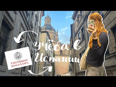 Видео: учебные будни студента-переводчика: пишу курсовую и получаю внж