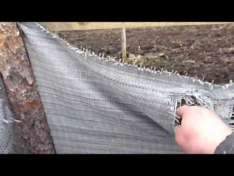 Видео: Подготовка полей и загонов для улитки. Сезон 2025г., улитка Мюллер.