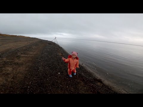 Видео: Рыбалка на Енисее, ловля сига и налима закидушками.