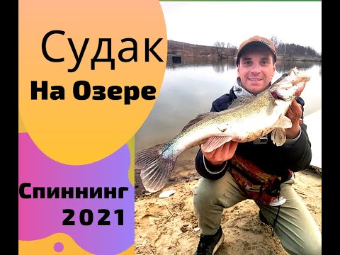 Видео: Рыбалка .Судак весной на озере. Судак на грушку.