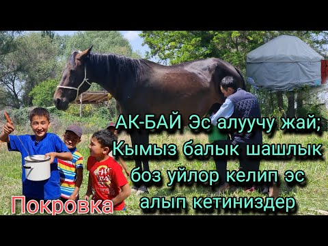 Видео: Покровкада АК-БАЙ эс алуучу жайга келип кымыз ичип кетиниздер