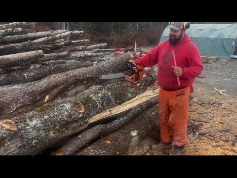 Видео: Запуск Echo 7310P и CS-620 на лесопилке!