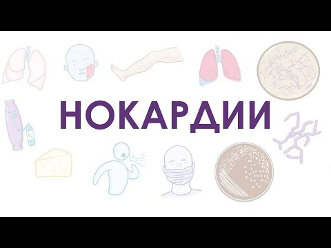 Видео: Нокардии - микробиология