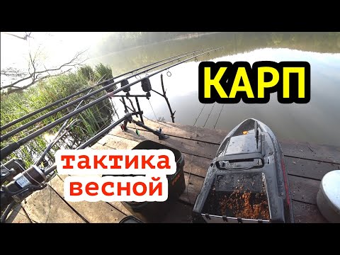 Видео: Рыбалка на КАРПА с корабликом ВЕСНОЙ! Тактика ловли.