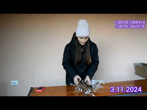 Видео: Викорчовую саджанець від Ткаченків! Що з ним не так?