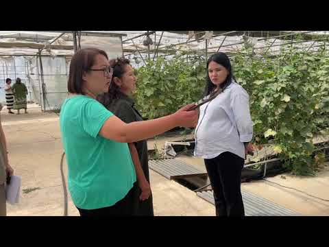 Видео: 14.08.2025 г. «Технология выращивания овощных культур в защищенном грунте для фермеров Казахстана.