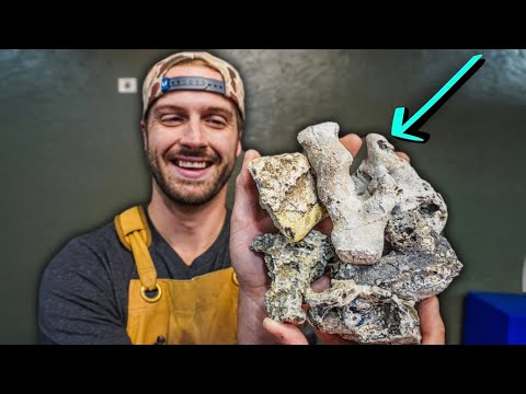 Видео: Минерализованная окаменелость?! Давайте разрежем агатизированный коралл!