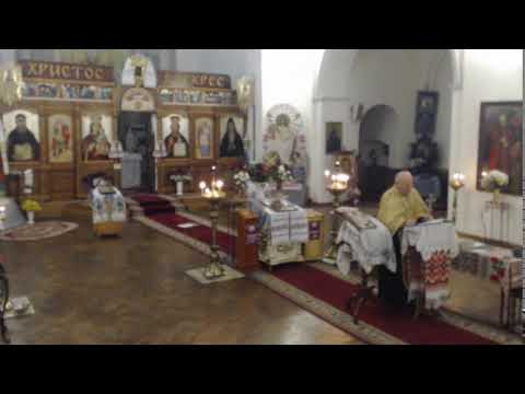 Видео: Молитва за мир 04.11.2025