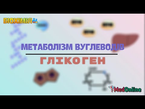 Видео: Метаболізм Вуглеводів | Глікоген