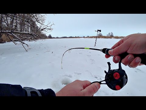 Видео: Они загибают удочку и давят в глубину. Наловил щук на балансир и сделал их золотыми! Рыбалка зимой