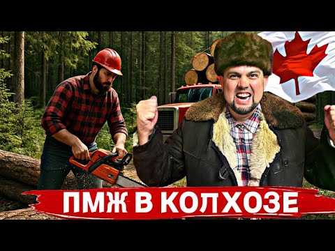 Видео: СРОЧНО! БЕЗ ЯЗЫКА ИММИГРАЦИЯ В КАНАДУ ДЛЯ ПРОСТЫХ РАБОТЯГ/ ВИЗА В КАНАДУ