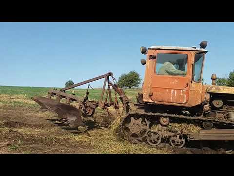 Видео: ДТ 75 корчуем пни.