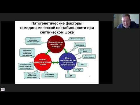 Видео: Инфузионная терапия септического шока Афончиков В.С.