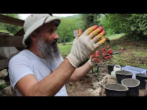 Видео: Находка декорированного креста в храмовом комплексе Бжилюа села Анхуа