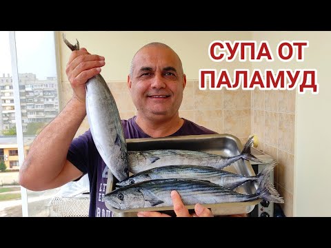 Видео: Рибена супа от пресен паламуд! Комбинация от дъх на море, свежи зеленчуци и девесил! Чуден вкус!