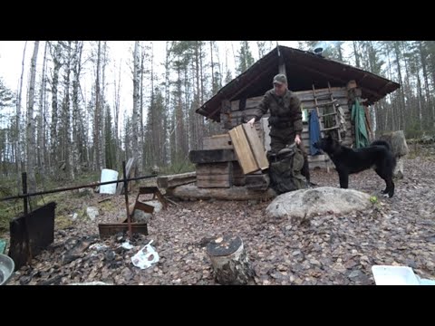 Видео: НА ИЗБУ С НОЧЕВКОЙ / ОХОТА НА КУНИЦУ КАПКАНАМИ / РЫБАЛКА часть1