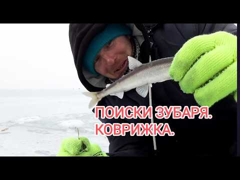 Видео: Зимняя рыбалка на зубаря в Приморском крае. Зубаринные блесна.
