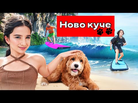 Видео: АМИНА ИСКА НОВО КУЧЕ 🤯 Влог за пътуване KiKiDo Campus Bulgarian