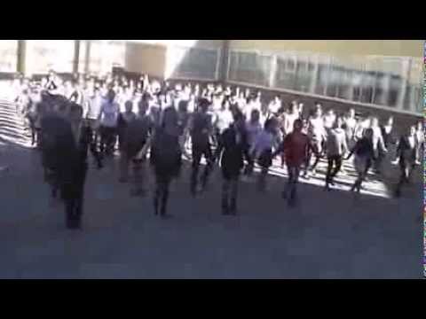 Видео: Флэшмоб, Флэш моб НИШ Тараз 2