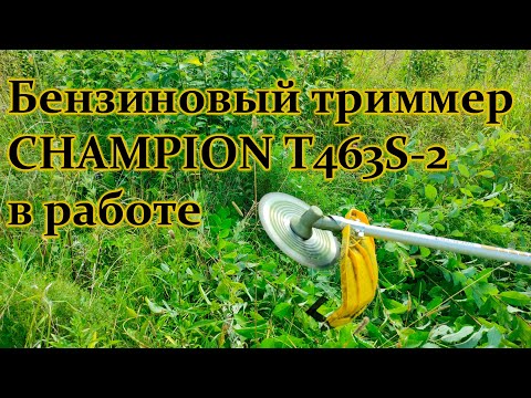 Видео: Бензиновый триммер CHAMPION T463S-2 в работе