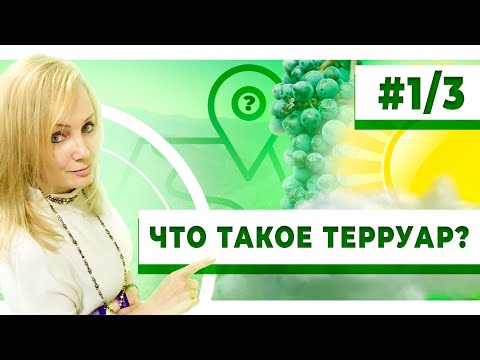 Видео: Кулуары терруара. Часть1/3. Что такое терруар. Генетика виноградной лозы. Экосистема. Расположение.