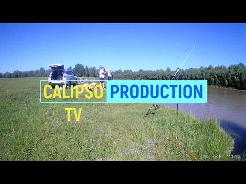 Видео: Рыбалка на фидер на реке Алей Сазан, карась, подлещик