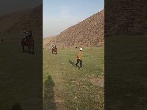 Видео: Ысык-Ата районунун Таш-Башат айылында ат чабыш, 25.10.2025-жыл!!!