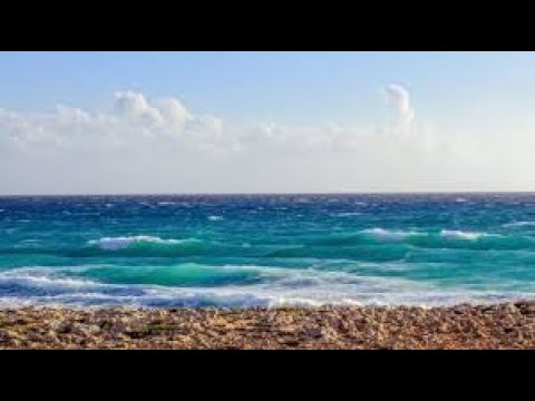 Видео: То моє море speed up