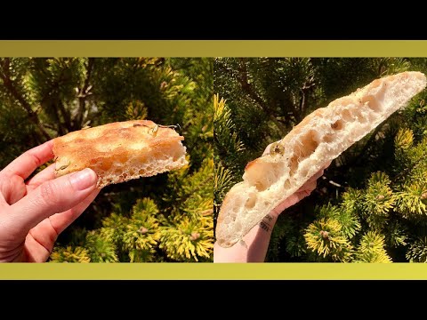 Видео: Фокачча на закваске левито мадре! Одно тесто и два вида ферментации, выбираем лучшее!
