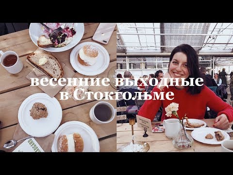 Видео: почему я не хочу работать на себя, атмосферный Стокгольм и булочка семла